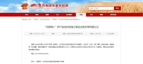 全市唯一！金鄉(xiāng)縣擬入選互聯(lián)網(wǎng)+農(nóng)產(chǎn)品出村進城工程試點縣，新沂探索互聯(lián)網(wǎng)游戲服務發(fā)展