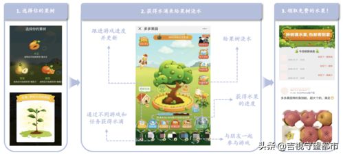 中央表彰脫貧攻堅先進，拼多多等互聯(lián)網(wǎng)企業(yè)彰顯社會責任